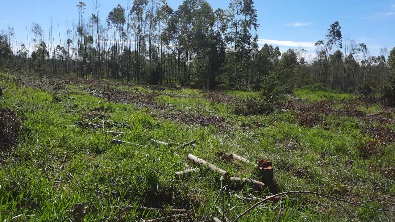 Comprar Fazenda